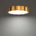 WAC Lighting Vaughan Flush Mount 3000K