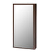 Vida Wallmount Vanity Mirror