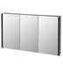 Vida Wallmount Vanity Mirror