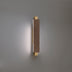 Modern Forms Kinsman Swing Arm/Picture Light